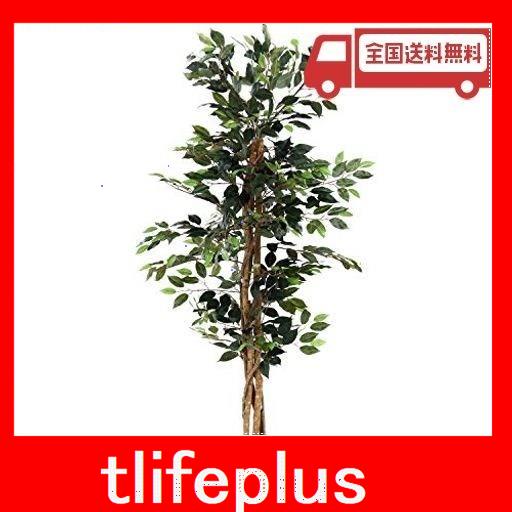 不二貿易 フェイクグリーン 観葉植物 幅60×奥行60×高さ150CM グリーン 大型 フィカスA 52661