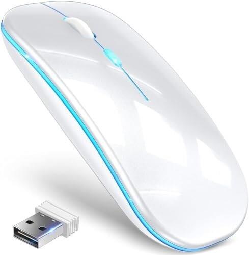 マウス bluetooth マウス 無線 極静音 ワイヤレスマウス 2.4GHz＆Bluetooth両接続 静音マウス 薄型 軽量 USB 充電式 高感度 3段階DPI切替